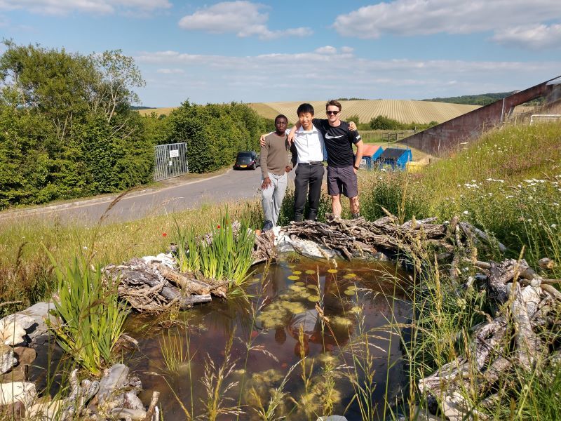 Butterfly conservation group 