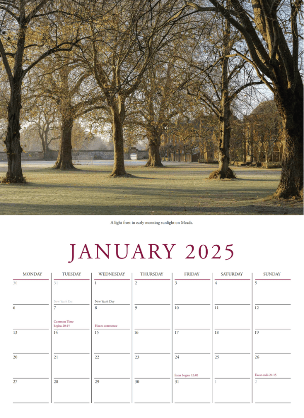 Newsletter Carousel (78) 