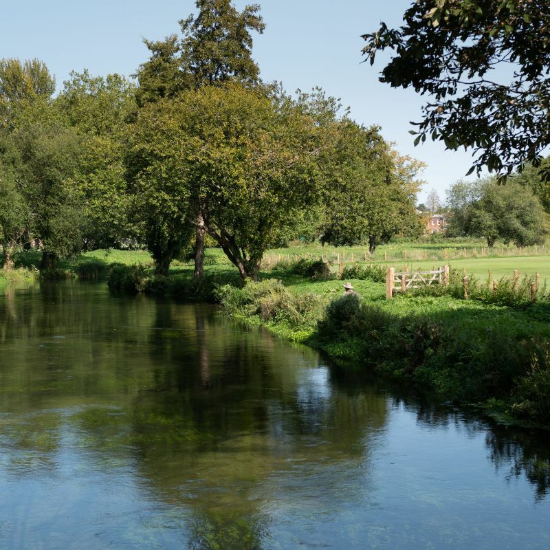 Water meadows chalk stream web 